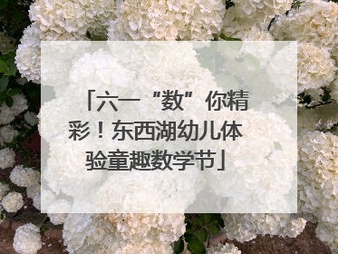 六一“数”你精彩！东西湖幼儿体验童趣数学节